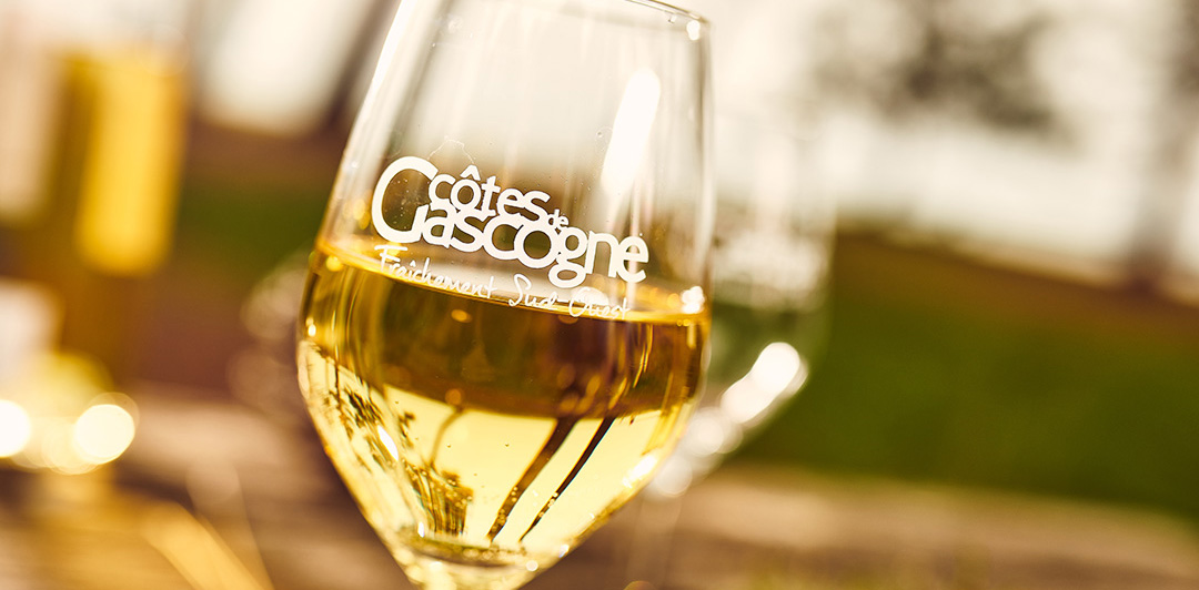 Découvrez les vin blanc moelleux des Côtes de Gascogne