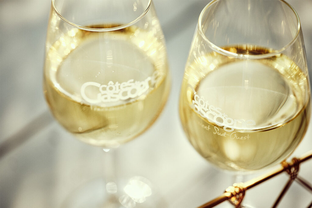 Vin blanc sec degustation cotes de gascogne