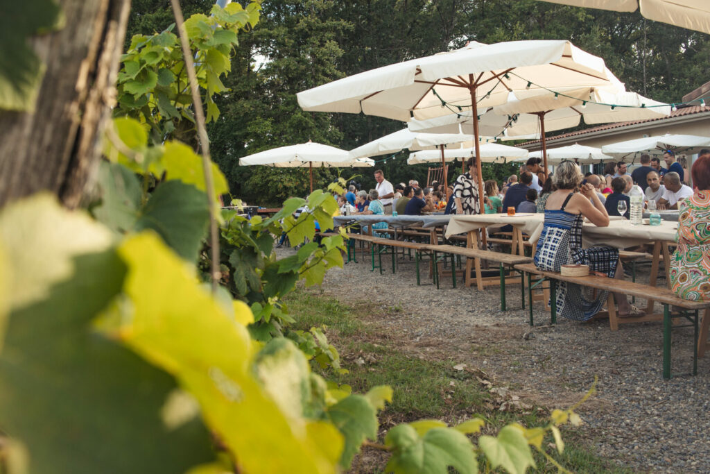 France, Fources, VineArt
