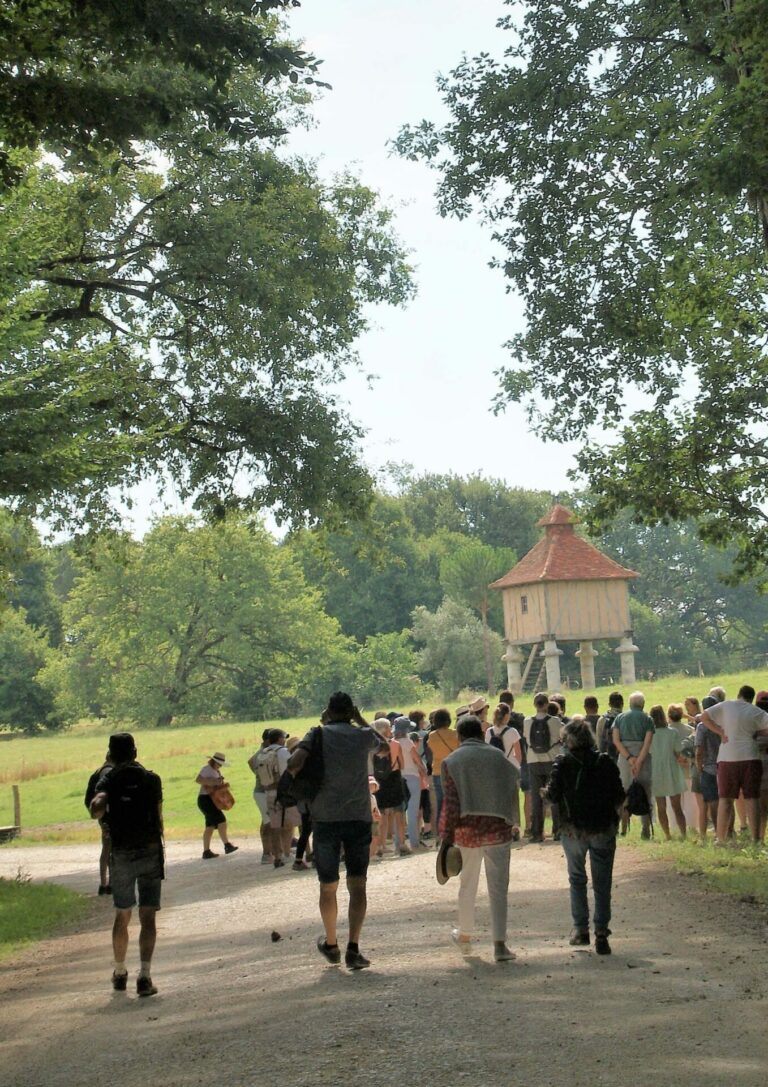 Domaine de Pellehaut