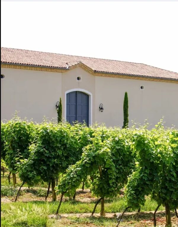 Domaine du Pountet